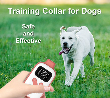 PD523-1 remote control dog training device, voice-activated bark stopper, dog training device, dog supplies, electronic dog training supplies, dog collar