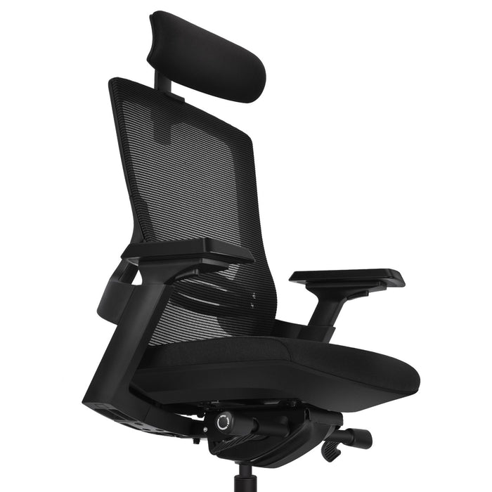 MOOJIRS Ergonomic office chair with adjustable cushion depth | Mesh backrest | Adjustable lumbar support | Adjustable 3D armrest|Adjustable chair back elasticity and tilt angle|Standard carpet casters