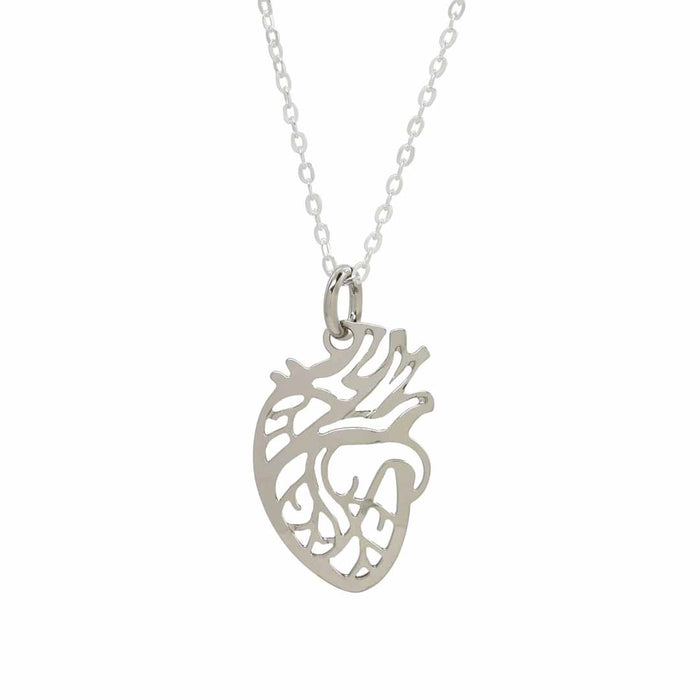 Anatomical Heart Necklace - science jewelry that makes great gifts for students and teachers in biology and medicine.